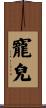 寵兒 Scroll