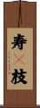 寿々枝 Scroll
