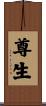 尊生 Scroll
