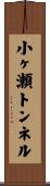 小ヶ瀬トンネル Scroll