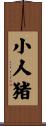 小人猪 Scroll