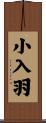 小入羽 Scroll