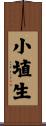 小埴生 Scroll