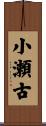 小瀬古 Scroll
