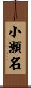 小瀬名 Scroll