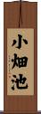 小畑池 Scroll