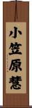 小笠原慧 Scroll