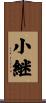 小継 Scroll
