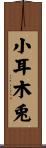 小耳木兎 Scroll