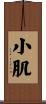 小肌 Scroll