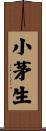 小茅生 Scroll