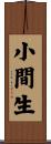 小間生 Scroll