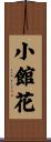 小館花 Scroll