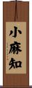小麻知 Scroll