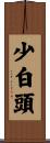 少白頭 Scroll