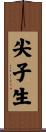尖子生 Scroll
