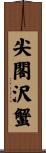 尖閣沢蟹 Scroll