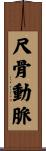 尺骨動脈 Scroll