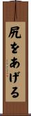 尻をあげる Scroll