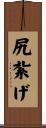尻紮げ Scroll