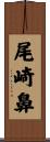 尾崎鼻 Scroll