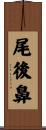 尾後鼻 Scroll