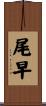 尾早 Scroll