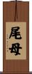尾母 Scroll