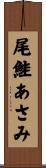 尾鮭あさみ Scroll