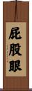 屁股眼 Scroll