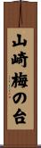 山崎梅の台 Scroll