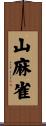 山麻雀 Scroll