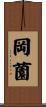 岡薗 Scroll
