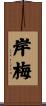 岸梅 Scroll