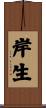 岸生 Scroll