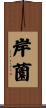 岸薗 Scroll