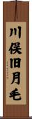 川俣旧月毛 Scroll