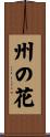州の花 Scroll
