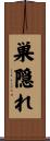 巣隠れ Scroll
