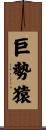 巨勢猿 Scroll
