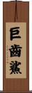 巨齒鯊 Scroll