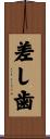 差し歯 Scroll