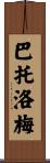 Bartolome Scroll