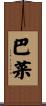 巴菜 Scroll