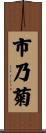 市乃菊 Scroll