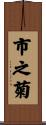 市之菊 Scroll