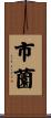 市薗 Scroll