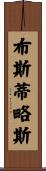 Bustillos Scroll
