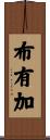 布有加 Scroll