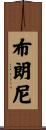 布朗尼 Scroll
